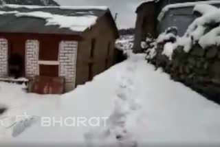 snowfall etv bharat