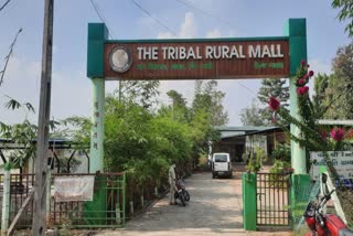 Tribal Restaurant in Tapi: આદિવાસી પરંપરાગત ભોજન માટેનું એક સરનામું એટલે વ્યારાનું વનશ્રી રેસ્ટોરાં