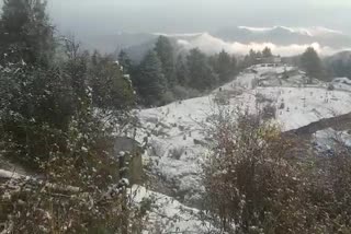 kufri received fresh snowfall