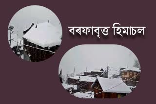 snowfall in himachal pradesh