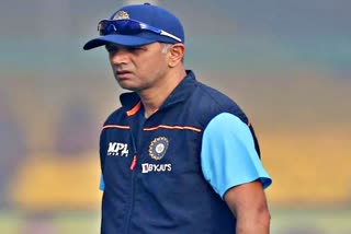 India head coach Rahul Dravid  India head coach  coach Rahul Dravid  खेल समाचार  Sports News  Indian cricket team management  मुख्य कोच राहुल द्रविड़  टेस्ट सीरीज  Team India