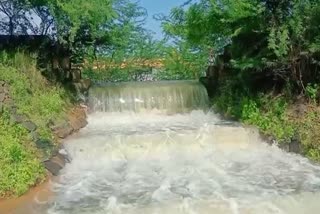 poigai pond, poigai pond overflow, tenkasi rain, kadaiyanallur rain, தென்காசி மழை, தென்காசி கடையநல்லூர், பொய்கை குளம், தென்காசி மழை வெள்ளம்