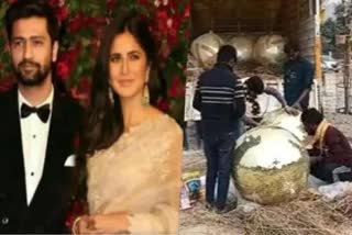 vicky katrina wedding video