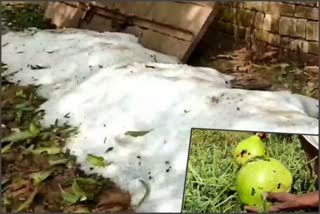 rain hailstorm in yamunanagar