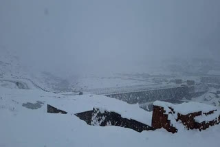 snowfall in Himachal