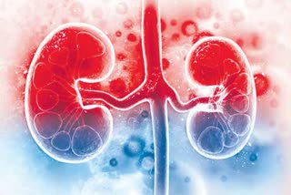 Chronic kidney disease