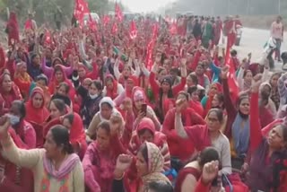 asha workers protest in ambala