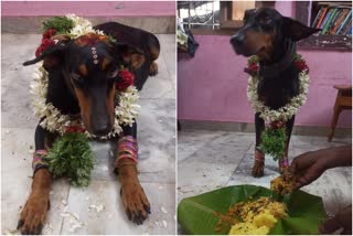 baby shower performed for pet dog in Madurai  baby shower for pets  നായക്ക് ബേബി ഷവർ നടത്തി മധുരൈ പൊലീസ് ഉദ്യോഗസ്ഥൻ  വളർത്തുമൃഗങ്ങൾക്ക് ബേബി ഷവർ