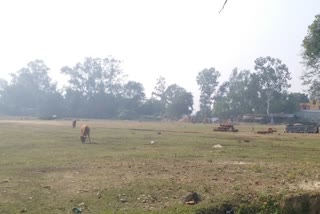 Buniadpur Mahakuma Stadium