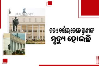 Odisha assembly