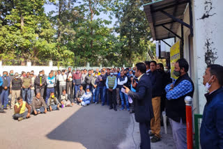 secretariat union employees started indefinite strike