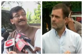 Sanjay raut meeting with Rahul Gandhi end