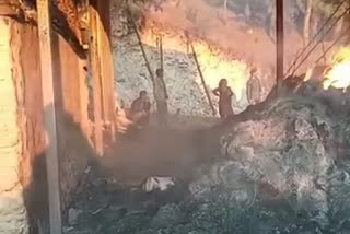 fire in gaushala in karsog