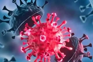 Omicron virus news