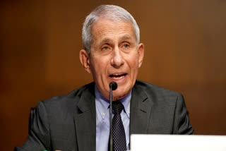 Dr Anthony Fauci, Director of the National Institute of Allergy and Infectious Diseases