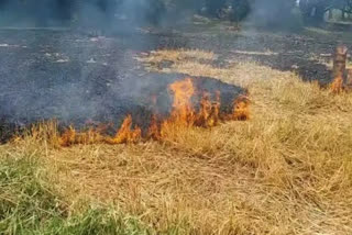 पराली जलाने वाले किसानों पर कार्रवाई