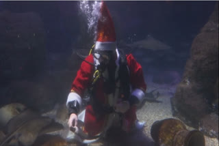 Santa plays with fish in aquarium on St Nicholas Day