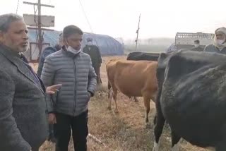 Camp for Livestock Farmers