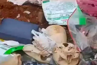 Human skeleton in Rubbish heap  kottayam todays news  കോട്ടയം ഇന്നത്തെ വാര്‍ത്ത  കേരളത്തിലെ ഇന്നത്തെ വാര്‍ത്ത  kerala todays news