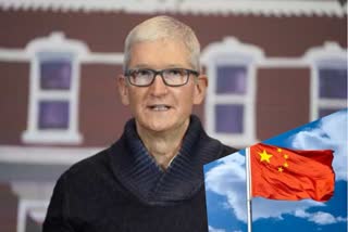 tim cook china news