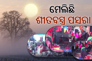 Winter In Daringbadi: ଶୀତ ସହ ବଢୁଛି ଶୀତ ବସ୍ତ୍ରର ଚାହିଦା