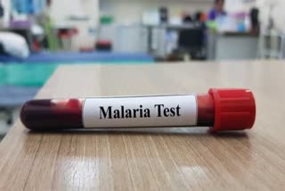 Worldwide malaria cases, who om malaria cases
