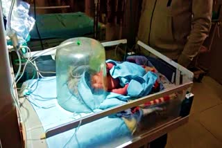 Newborn Girl Found In bharatpur Forest