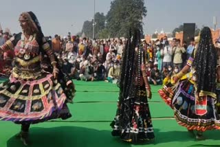 Kalbelia dance in International Gita Jayanti Festival