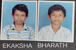 brothers who went swimming in the lake Drowned