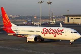 SpiceJet flight (file photo)