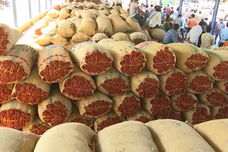 mirchi crop price  issues, Khammam mirchi crop market news