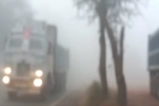 Fog In Haryana