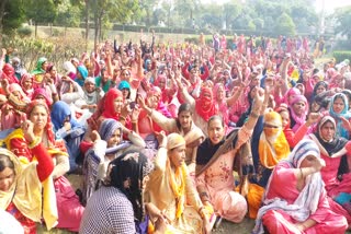 aanganwadi workers strike in nuh