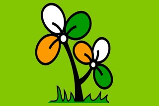 TMC to release kmc election Manifesto