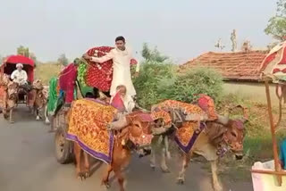 ವಿವಾಹಕ್ಕೆ ಎತ್ತಿನಗಾಡಿಯಲ್ಲಿ ಬಂದ ಗುಜರಾತ್​ನ ಉದ್ಯಮಿ