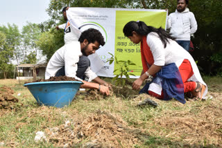 Initiative of Tree Adoption
