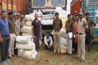 Ganja worth lakhs recovered in Bastar