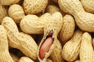 countless benefits of eating peanuts