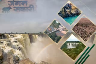 New Year 2021: These tourist places have a big craze in Chhattisgarh