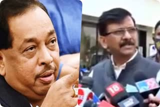 -narayan-rane-criticizes-shiv-sena-mp-sanjay-raut