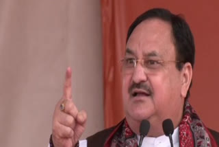 JP nadda