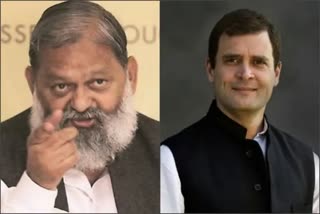 Anil Vij Comments On Rahul Gandhi