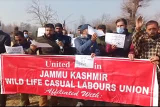 Casual Labourers Protest