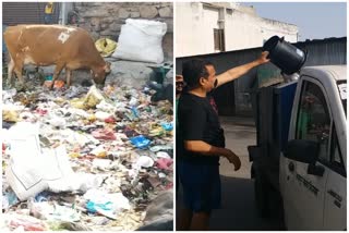 Jaipur Open Garbage Depot Free