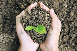 iit kanpur soil testing