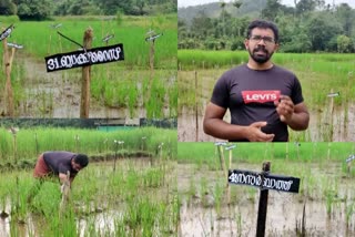 Young man from adimaly paddy cultivation  byno experimenting 72 varieties of seeds Idukki  72 ഇനം നെല്‍വിത്ത് കൃഷി പരീക്ഷണം  അടിമാലി യുവകർഷകൻ ബൈനോ  ഇടുക്കി ഹൈറേഞ്ച് നെല്‍കൃഷി