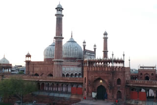 Jama Masjid Dehli