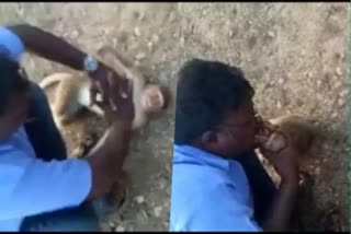 Social activist who saved a life-threatening monkey from not being able to breathe