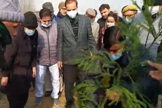 Plantation Drive in Kulgam