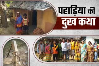 People of Primitive Tribe Pahadia In Dumka are not getting facilities